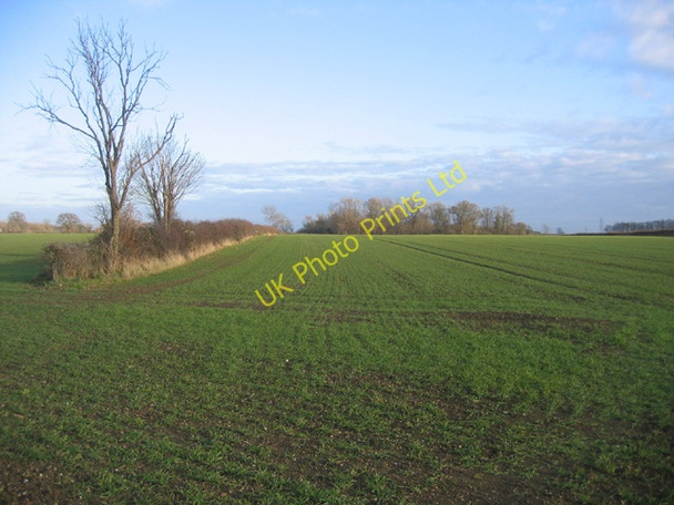 Photo 6"x4" Farmland, Ufford, Peterborough Ashton\/TF1005 c2005