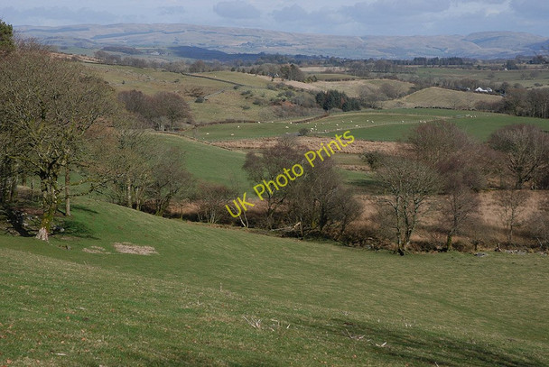 Photo 6"x4" Fields near Bontnewydd Blaenpennal c2010