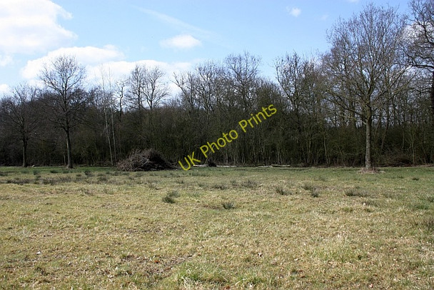 Photo 6"x4" Tree clearance on Marsh Common Woodmancote\/SO9042 c2010
