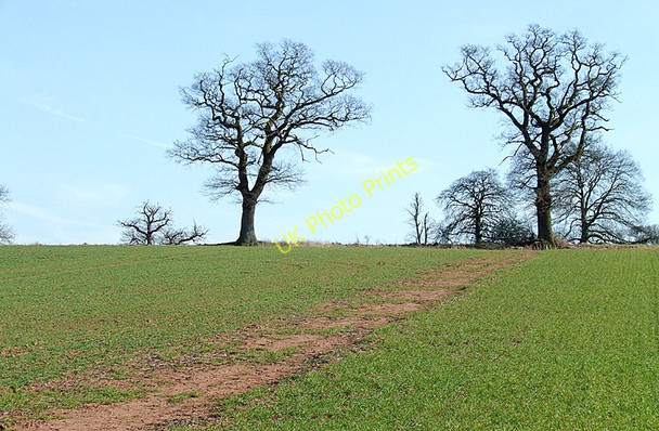 Photo 6"x4" Bridleway near Gatacre Green, Shropshire Sytch Ho Green c2010