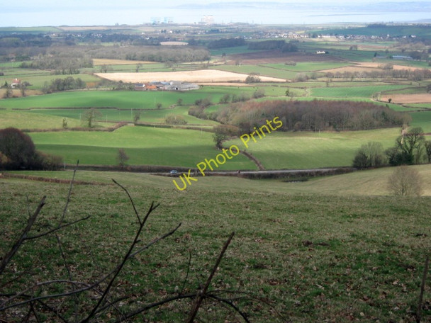 Photo 6"x4" Hillside at Walford's Gibbet Bincombe\/ST1839 c2010