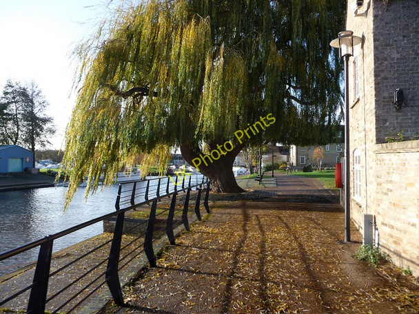 Photo 6"x4" The Great Ouse, Ely Ely\/TL5480 c2009