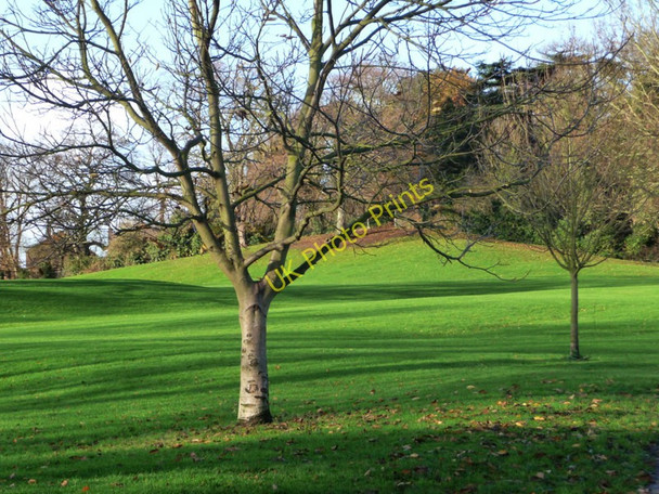 Photo 6"x4" Cherry Hill Park, Ely Ely\/TL5480 c2009