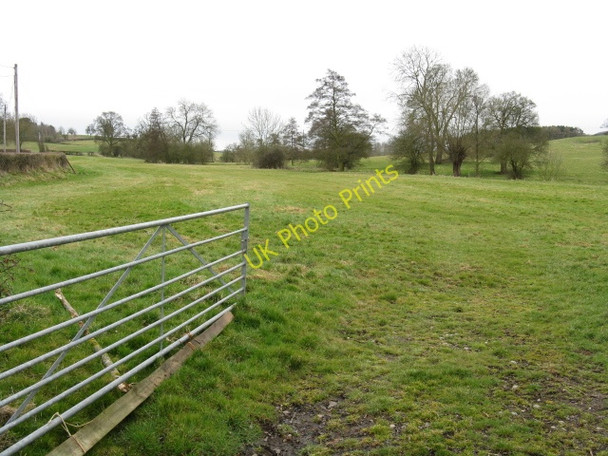Photo 6"x4" Fields At The Junction Bryan's Green c2010