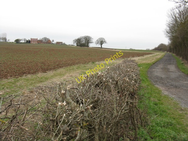 Photo 6"x4" Track To Stockend Farm Broad Alley c2010