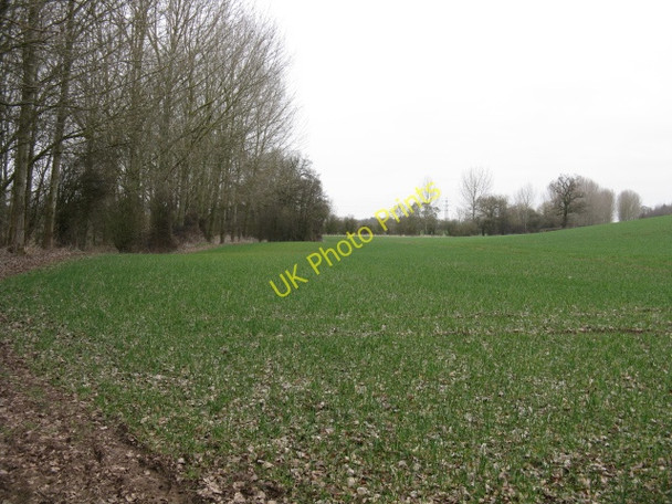 Photo 6"x4" Fields By Elmbridge Brook Broad Alley c2010