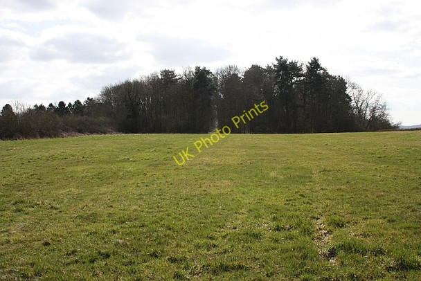 Photo 6"x4" The Ridings on Brierley Hill Woodmancote\/SO9042 c2010