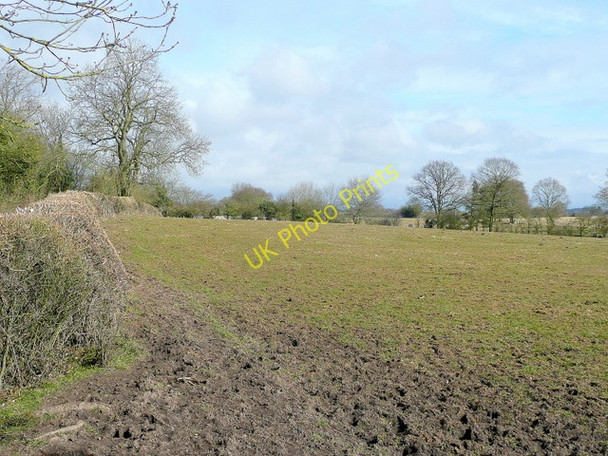 Photo 6"x4" Pastoral Warwickshire Claverdon c2010