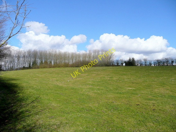 Photo 6"x4" Pasture with footpath Cannock c2010