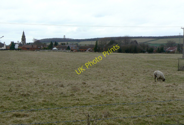 Photo 6"x4" Field near Gotham Gotham\/SK5330 c2010