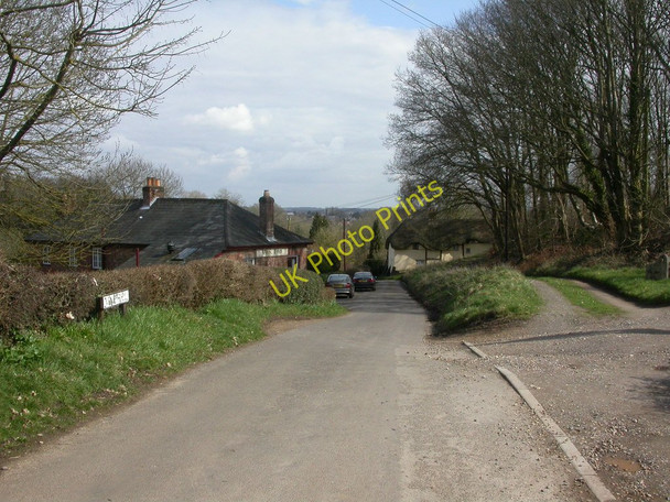 Photo 6"x4" Pamphill, Vine Hill Wimborne Minster c2010