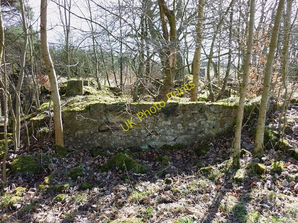 Photo 6"x4" Ruined Cottage by Brackenhirst Road Riggend c2010 P1