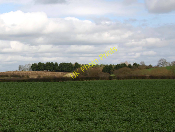 Photo 6"x4" Hookend Coppice from A3400 Alderminster c2010