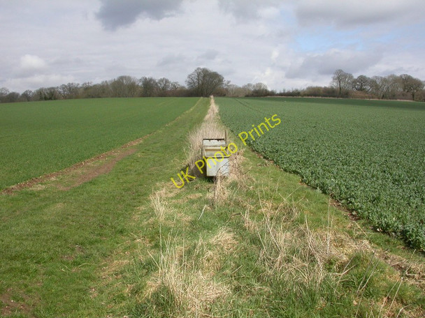 Photo 6"x4" Knobcrook, water troughs Wimborne Minster c2010