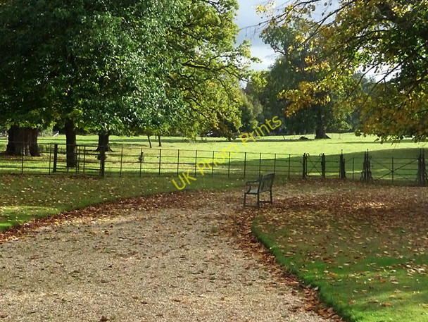 Photo 6"x4" The Vyne, Sherborne St John Cufaude c2009