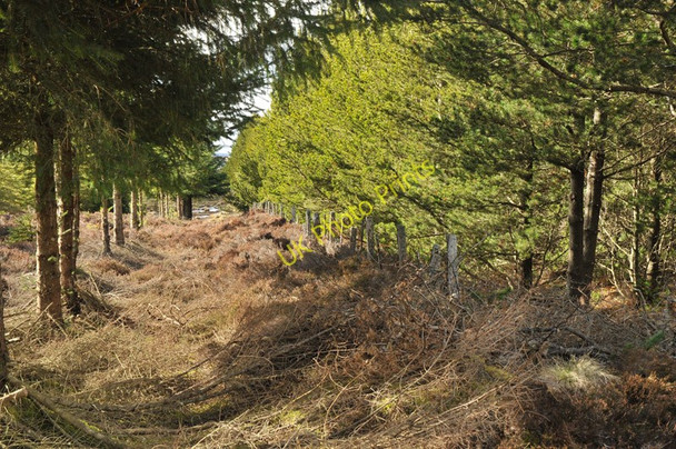 Photo 6"x4" Boundary fence near Easter Cudrish Ardendrain c2010