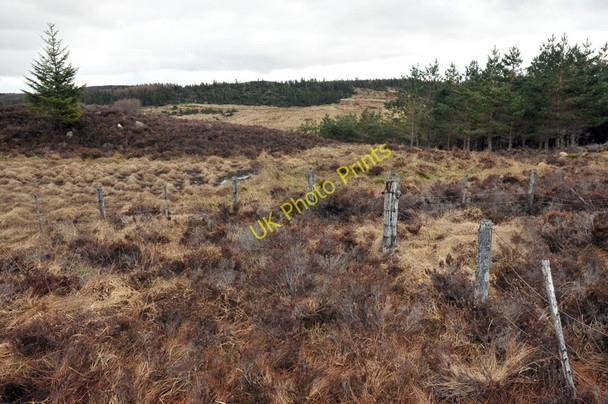 Photo 6"x4" Fence on the moorland by the forestry Ardendrain c2010