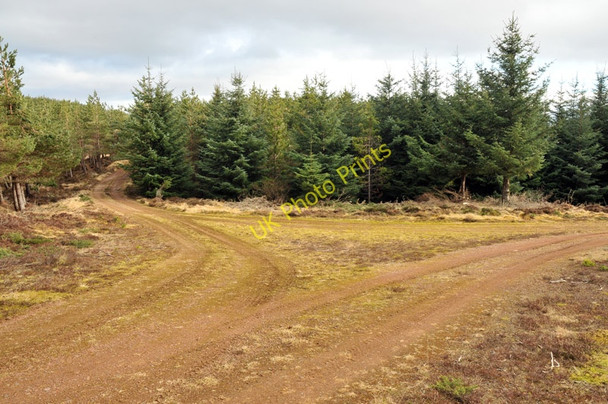 Photo 6"x4" Forestry road junction in Blairmore Estate Ardendrain c2010