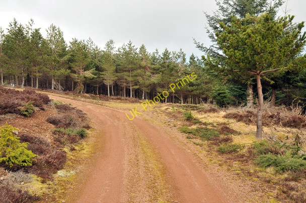Photo 6"x4" Forestry road junction in Blairmore Estate Ardendrain c2010 P1