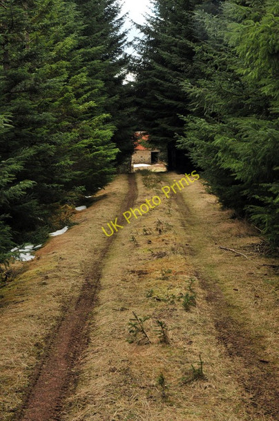Photo 6"x4" Old access road to Wester Cudrish Farm. Ardendrain c2010