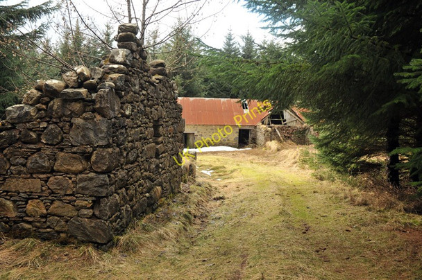 Photo 6"x4" Abandoned farm, Wester Cudrish Ardendrain c2010