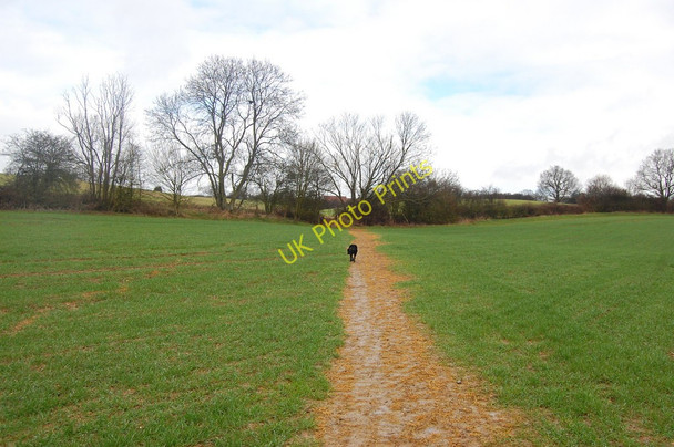 Photo 6"x4" The Essex Way 4 Epping c2010