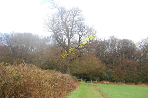 Photo 6"x4" The Essex Way 5 Epping c2010