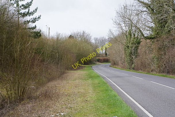 Photo 6"x4" B3035 with The Hangers woodland on right Dean\/SU5619 c2010