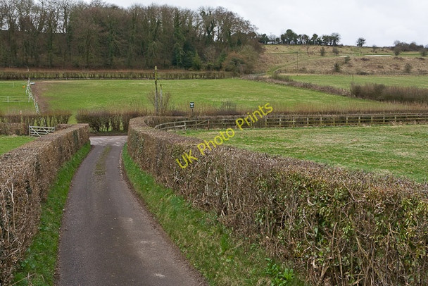 Photo 6"x4" Drive to Bishopsdown Stud Farm Dean\/SU5619 c2010