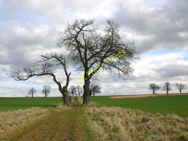 Photo 6"x4" Bridleway to Halford Newbold-on-Stour c2010