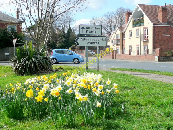 Photo 6"x4" Spring comes to Ross-on-Wye 1 Ross-on-Wye c2010
