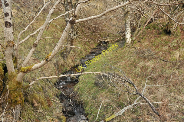 Photo 6"x4" Small stream near Wester Cudrish Ardendrain c2010