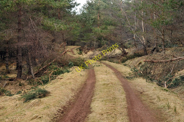 Photo 6"x4" Access track to Wester and Easter Cudrish Ardendrain c2010