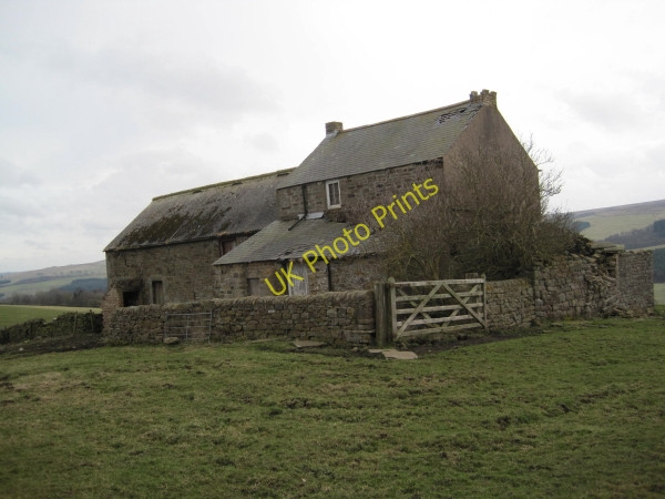Photo 6"x4" Horse Close Melkridge c2010 P1