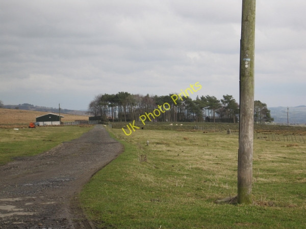 Photo 6"x4" Farm track to Bayldon Melkridge c2010