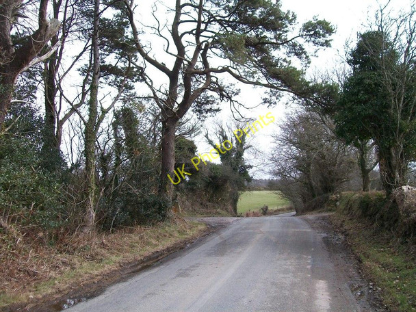 Photo 6"x4" The Pencaenewydd road west of Gwynfryn Fawr Llanaelhaearn c2010