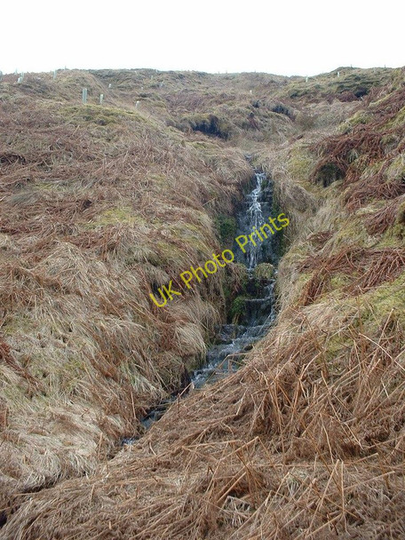 Photo 6"x4" Beck, RSPB Geltsdale Forest Head c2010