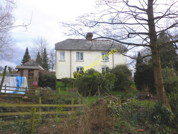 Photo 6"x4" House and garden, Broadhembury Broadhembury c2010