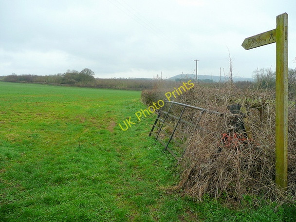 Photo 6"x4" Footpath to Kidley Hill Carey\/SO5631 c2010