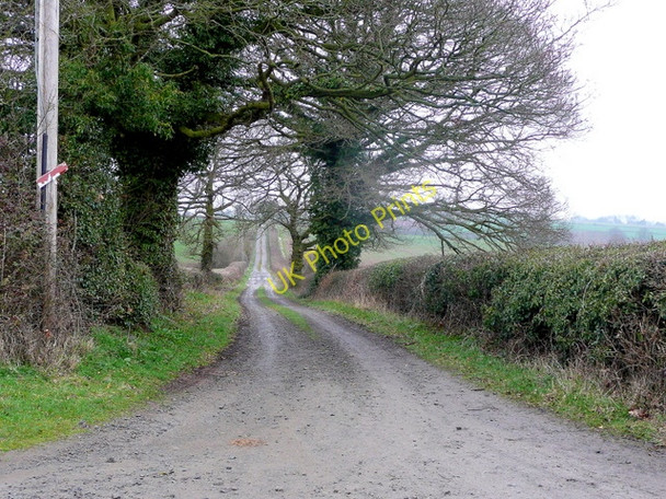 Photo 6"x4" Straight track to Gannah Farm Moor c2010