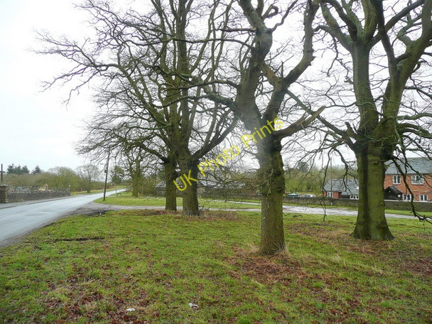 Photo 6"x4" Viney Hill Viney Hill c2010