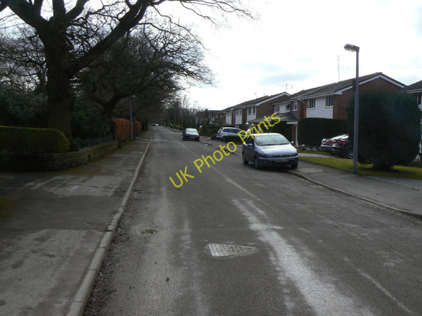 Photo 6"x4" Towers Road (1) Hockley\/SJ9283 c2010