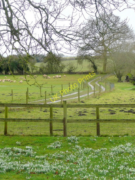 Photo 6"x4" Track away from St. Nicholas' church Fyfield\/SU2946 c2010