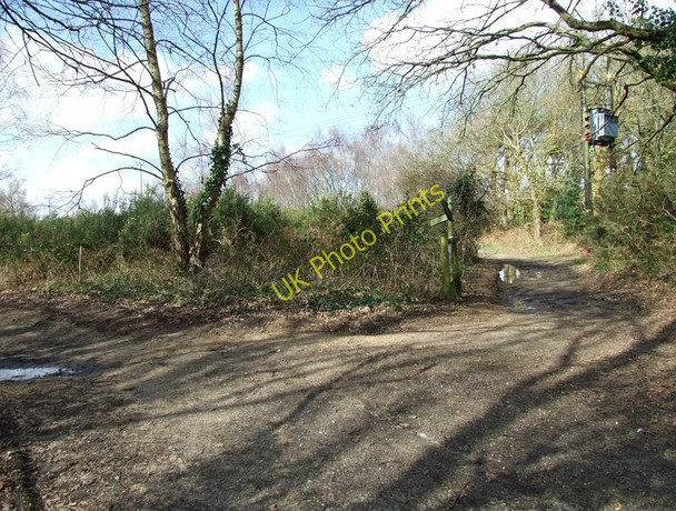 Photo 6"x4" Sign post to Great Barrow, Ferndown Common Longham\/SZ0698 c2010