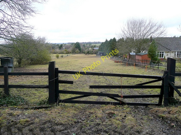 Photo 6"x4" Pasture north of Ox Drove Picket Piece c2010
