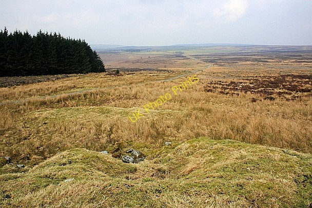 Photo 6"x4" Earth Platform, Thimbleby Moor Osmotherley c2010