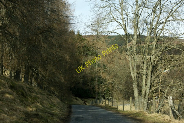 Photo 6"x4" Road in Glen Prosen Easter Lednathie c2010