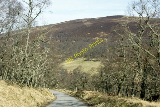 Photo 6"x4" Road through birch woodland, Glen Prosen Easter Lednathie c2010