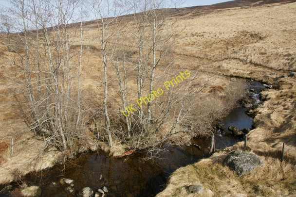 Photo 6"x4" Burn of Cally Easter Lednathie c2010