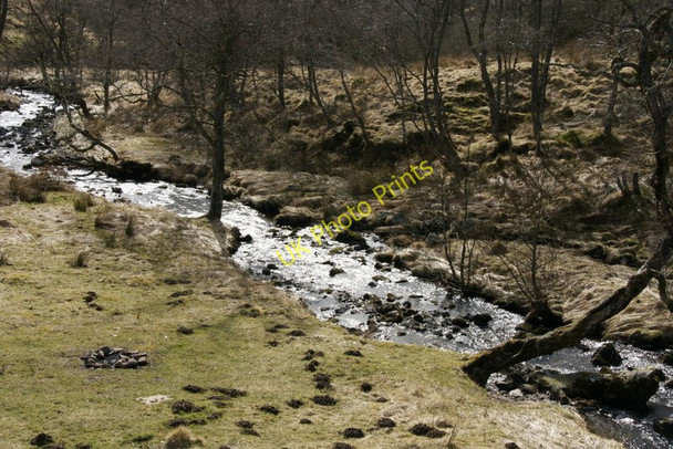 Photo 6"x4" Burn of Cally Easter Lednathie c2010 P1